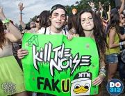 lollapaloozacrowd-532