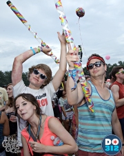 lollapaloozacrowd-590