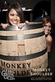 monkeyshoulder-352